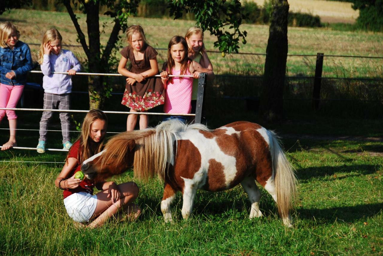 Ferienhof Blunck Wangels Exterior foto